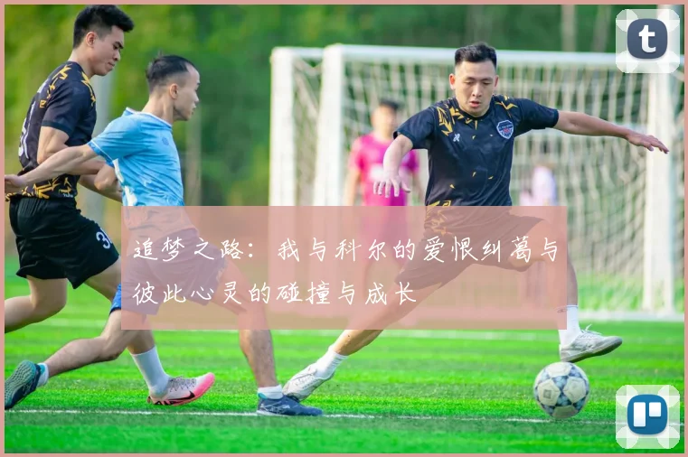 追梦之路：我与科尔的爱恨纠葛与彼此心灵的碰撞与成长