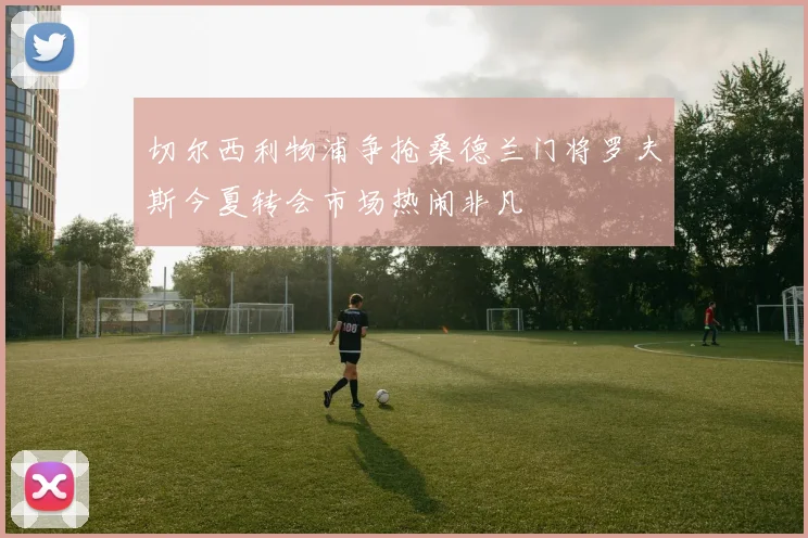 切尔西利物浦争抢桑德兰门将罗夫斯今夏转会市场热闹非凡